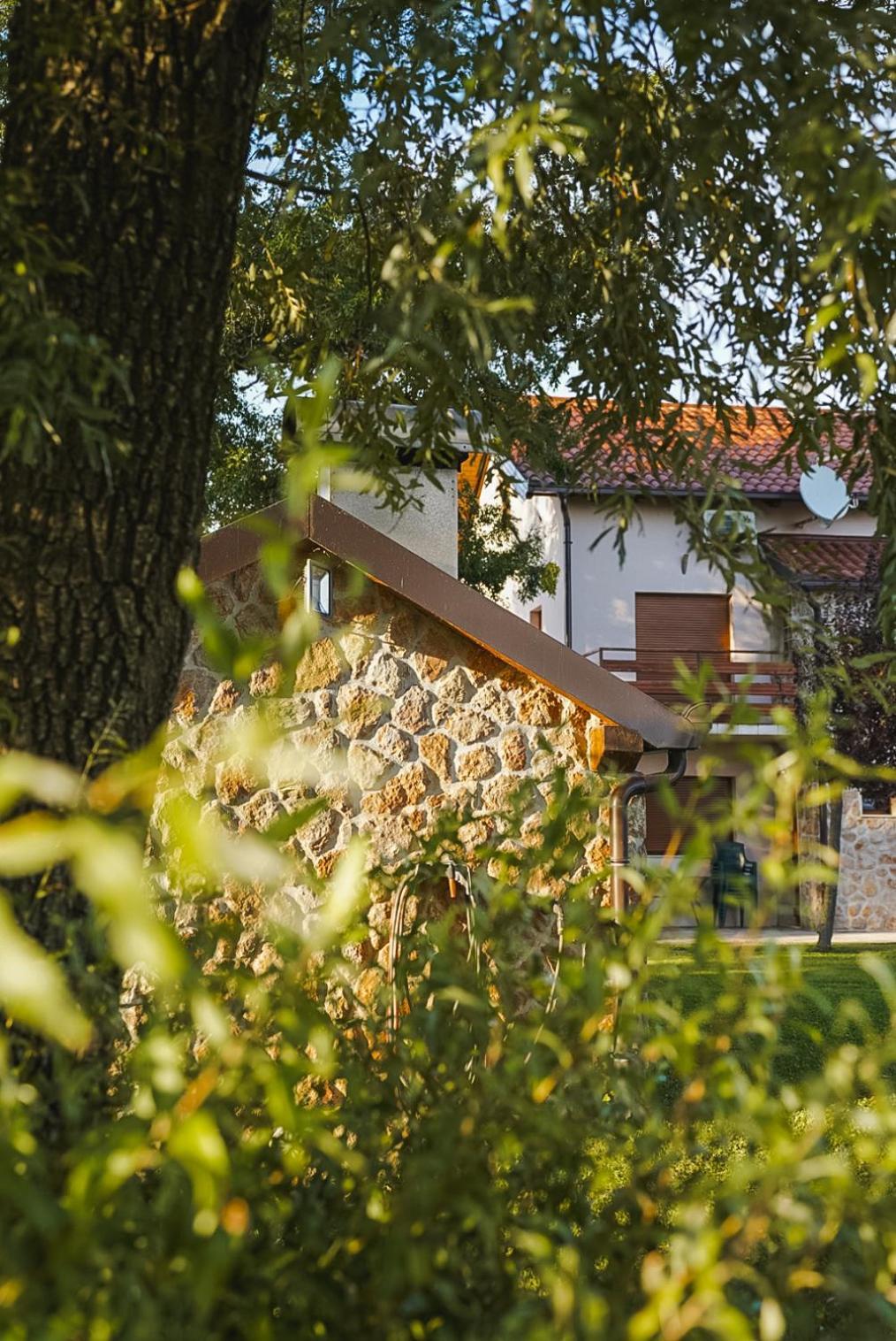 Villa Leko Dream House Cetina Exterior photo